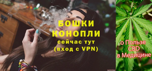 прущие грибы Балабаново