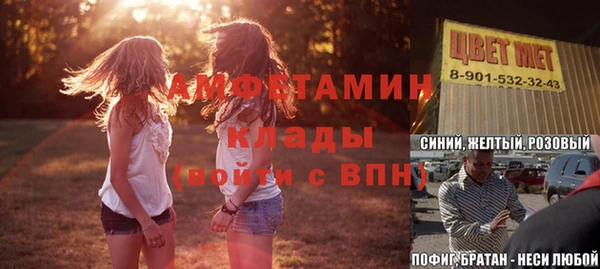 прущие грибы Балабаново