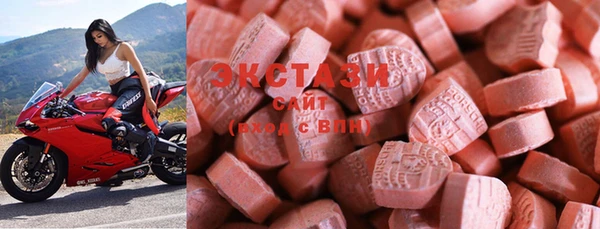 прущие грибы Балабаново