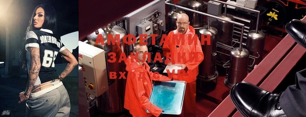 прущие грибы Балабаново
