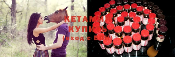 прущие грибы Балабаново